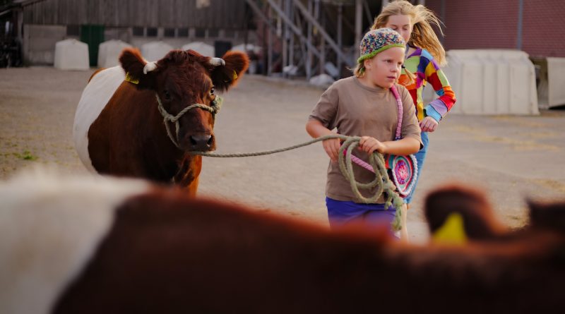 Een jongs mens met een koe